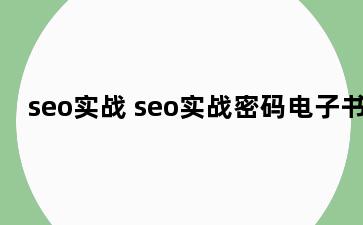 seo实战 seo实战密码电子书